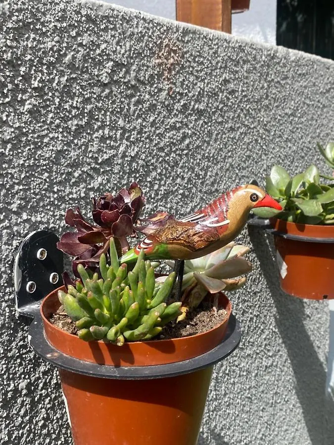 別荘 Walmer Cottage - Cute & Pet Friendly ケープタウン